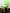 Детский стульчик Верес МДФ зеленый, фото